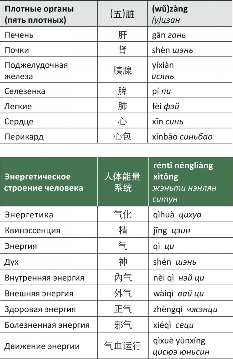 Лестница в небо, или Китайская медицина по-русски