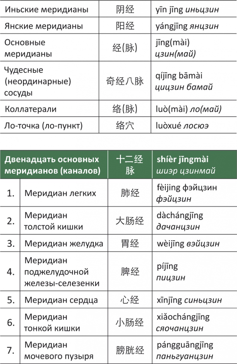 Лестница в небо, или Китайская медицина по-русски