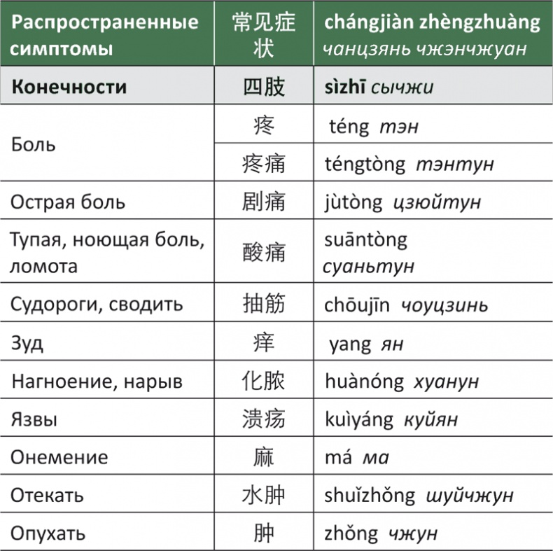 Лестница в небо, или Китайская медицина по-русски