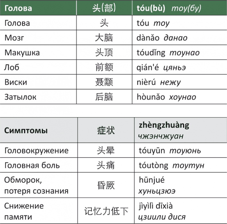 Лестница в небо, или Китайская медицина по-русски