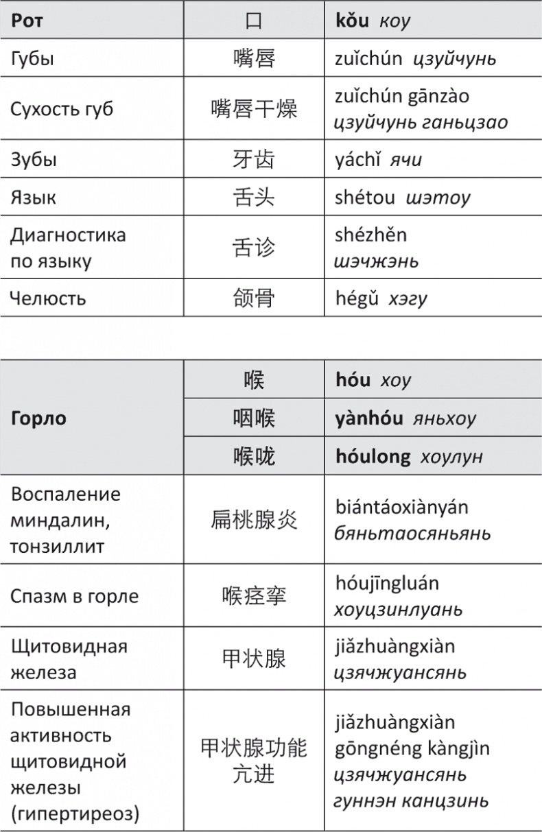 Лестница в небо, или Китайская медицина по-русски