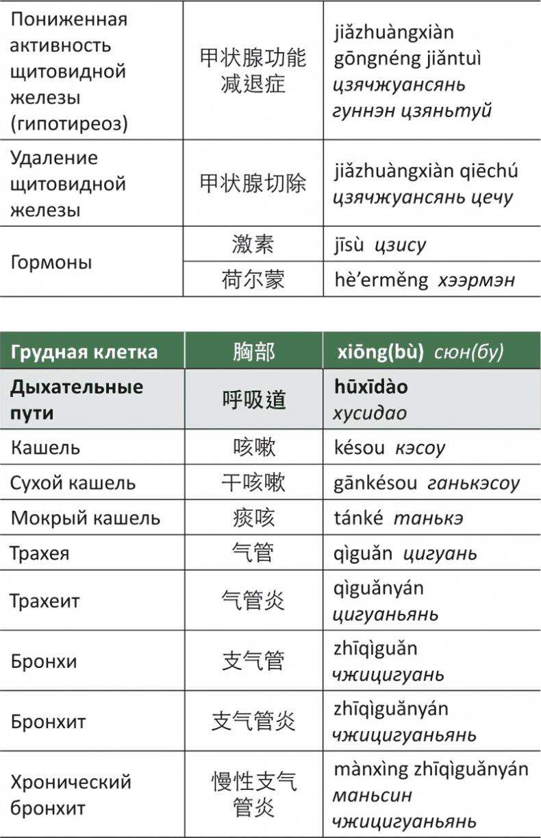 Лестница в небо, или Китайская медицина по-русски