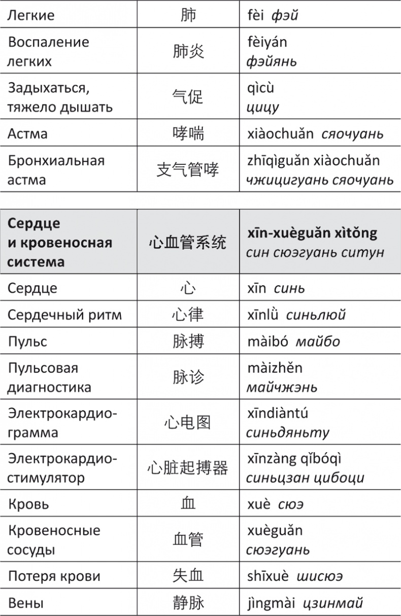 Лестница в небо, или Китайская медицина по-русски