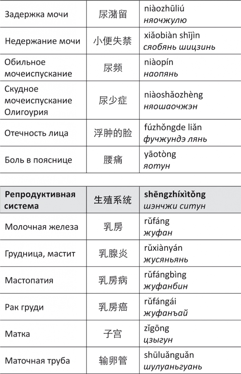 Лестница в небо, или Китайская медицина по-русски