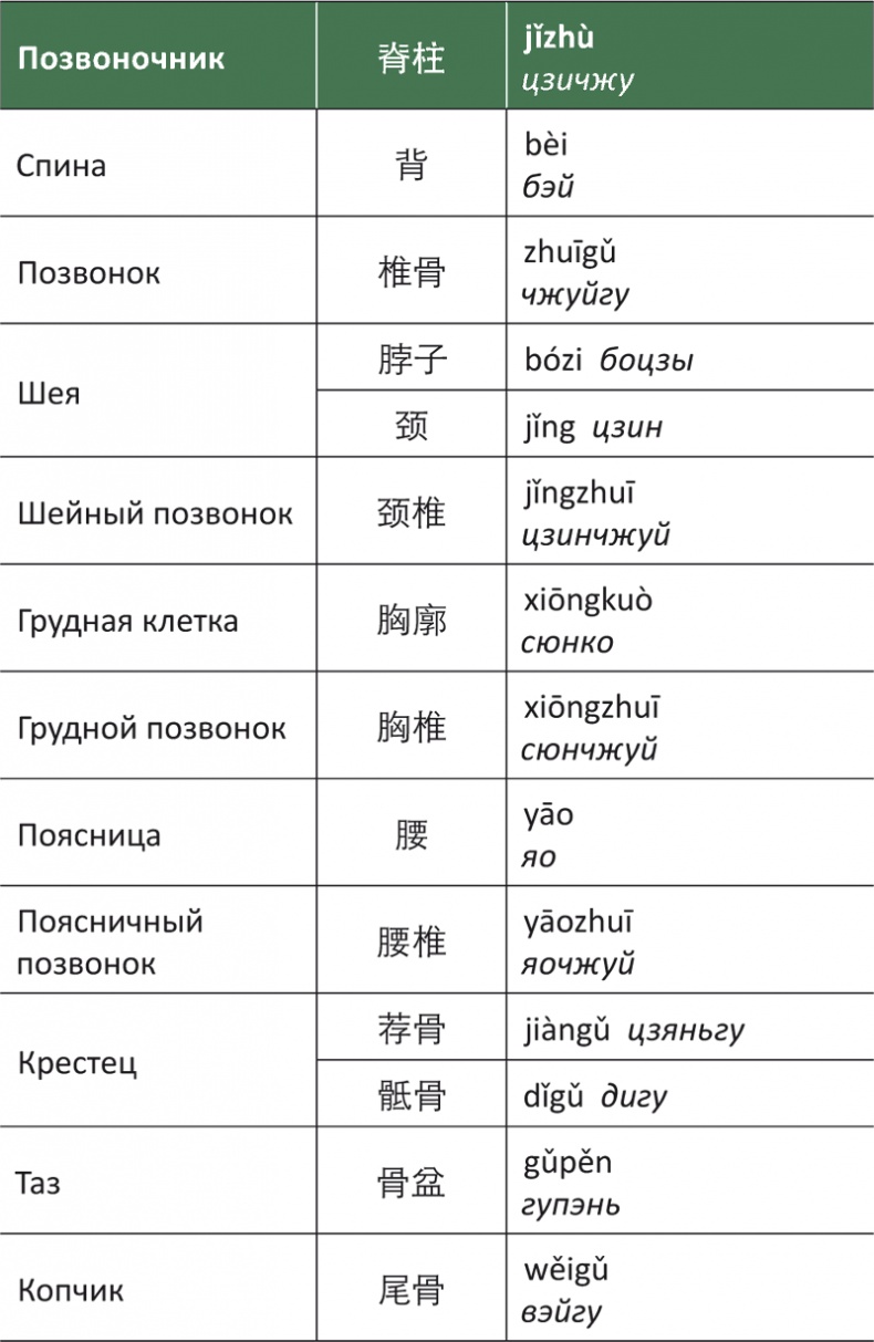 Лестница в небо, или Китайская медицина по-русски