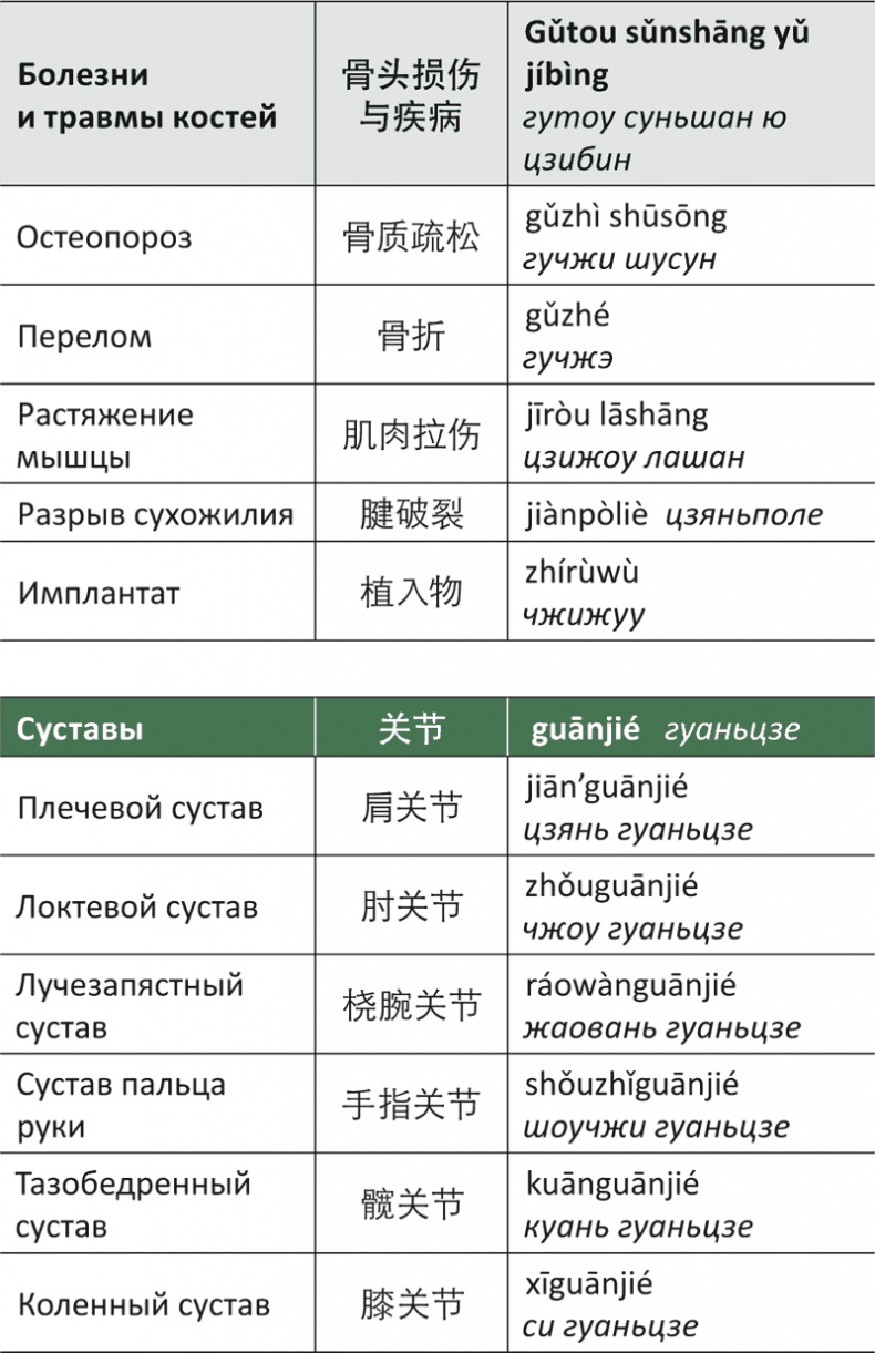 Лестница в небо, или Китайская медицина по-русски