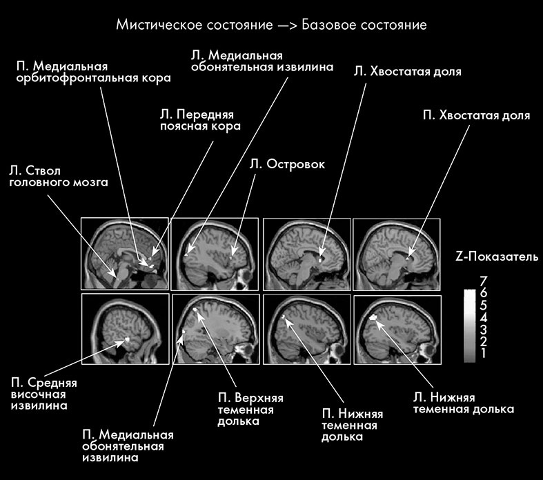 Научные битвы за душу. Новейшие знания о мозге и вера в Бога