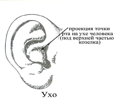 Почему мы болеем? Виртуальные реальности болезней и зависимостей. Выход есть! Теория и практика