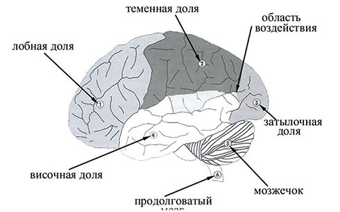 Почему мы болеем? Виртуальные реальности болезней и зависимостей. Выход есть! Теория и практика