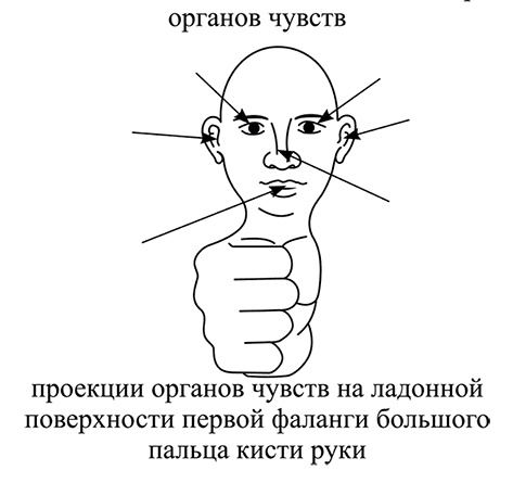 Почему мы болеем? Виртуальные реальности болезней и зависимостей. Выход есть! Теория и практика