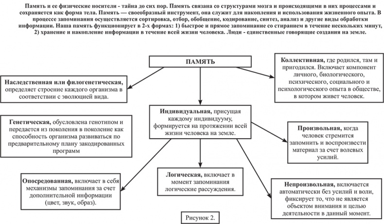 Почему мы болеем? Виртуальные реальности болезней и зависимостей. Выход есть! Теория и практика