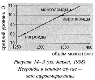 Эректус бродит между нами. Покорение белой расы