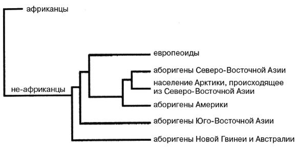 Эректус бродит между нами. Покорение белой расы