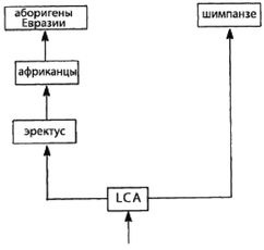 Эректус бродит между нами. Покорение белой расы