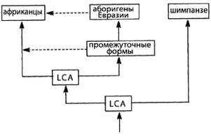 Эректус бродит между нами. Покорение белой расы