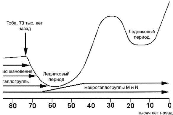 Эректус бродит между нами. Покорение белой расы