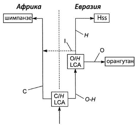 Эректус бродит между нами. Покорение белой расы