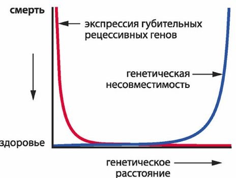 Эректус бродит между нами. Покорение белой расы