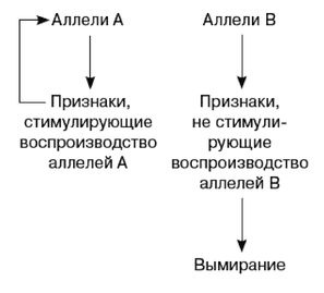 Эректус бродит между нами. Покорение белой расы