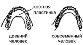 Эректус бродит между нами. Покорение белой расы