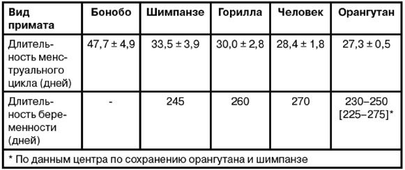 Эректус бродит между нами. Покорение белой расы