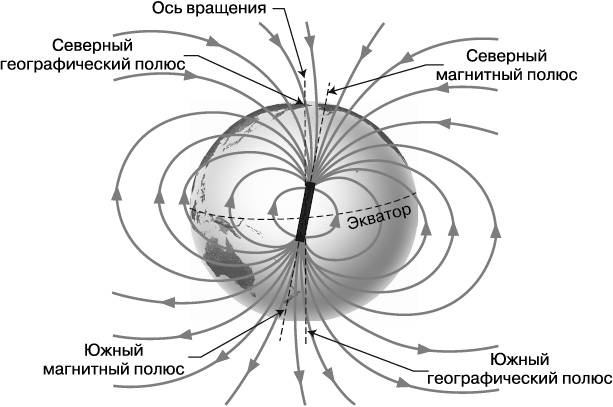 Жизнь на грани. Ваша первая книга о квантовой биологии