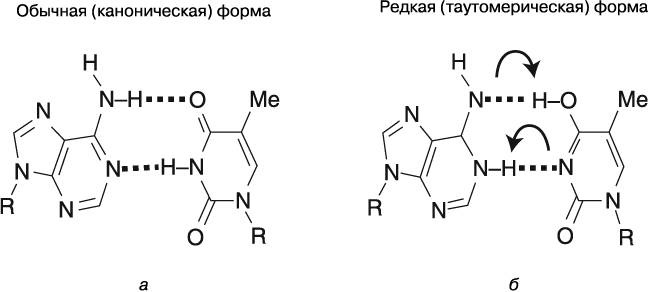 Жизнь на грани. Ваша первая книга о квантовой биологии