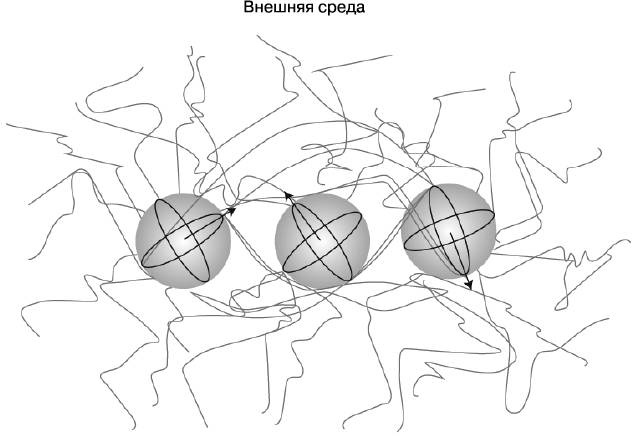 Жизнь на грани. Ваша первая книга о квантовой биологии