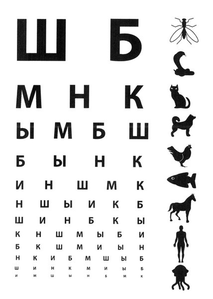 Летающие жирафы, мамонты-блондины, карликовые коровы... От палеонтологических реконструкций к предсказаниям будущего Земли