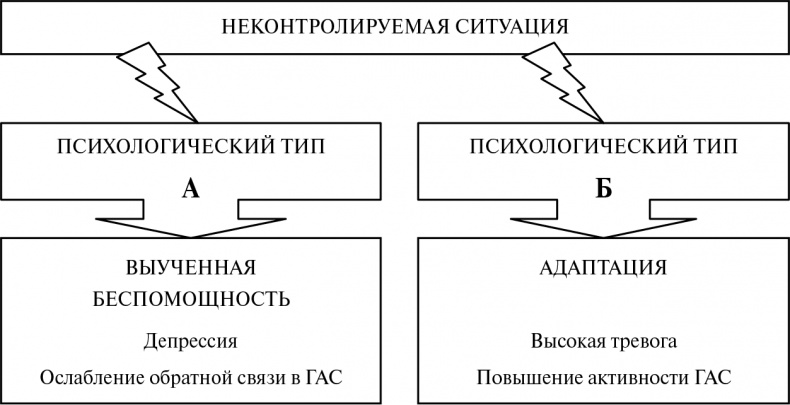 Стой, кто ведет? Биология поведения человека и других зверей