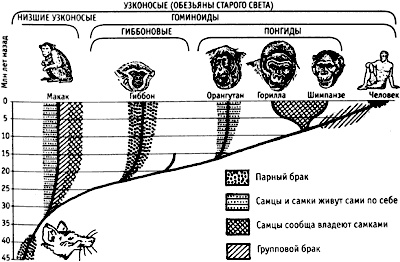 Непослушное дитя биосферы. Беседы о поведении человека в компании птиц, зверей и детей