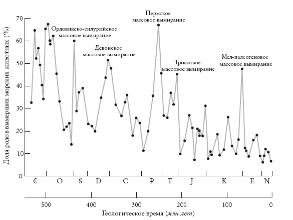 Рассказ предка. Паломничество к истокам жизни