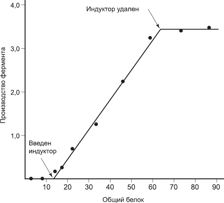 Закон "джунглей". В поисках формулы жизни