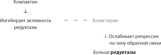 Закон "джунглей". В поисках формулы жизни