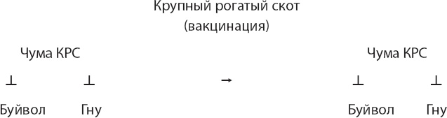 Закон "джунглей". В поисках формулы жизни