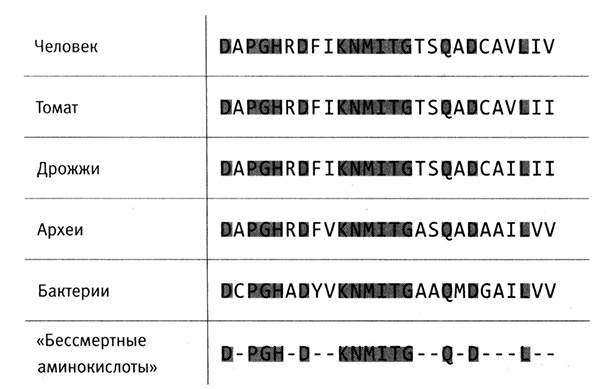 Приспособиться и выжить! ДНК как летопись эволюции