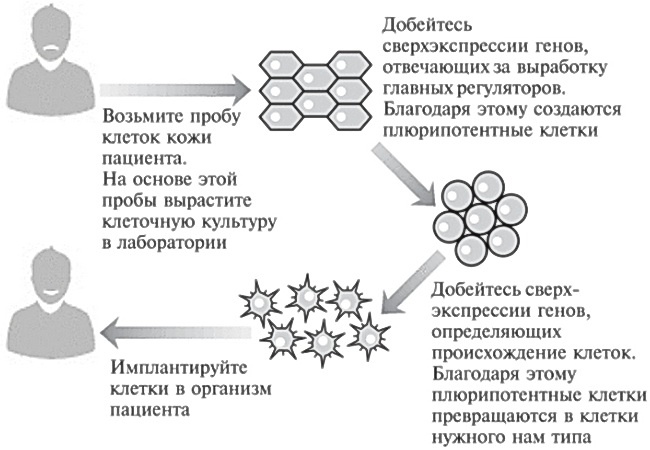 Мусорная ДНК. Путешествие в темную материю генома