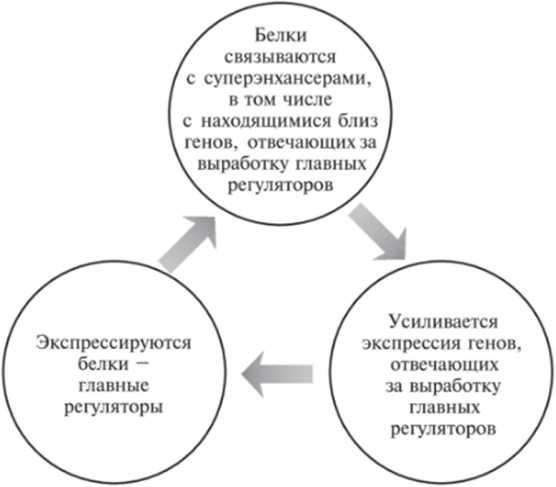 Мусорная ДНК. Путешествие в темную материю генома