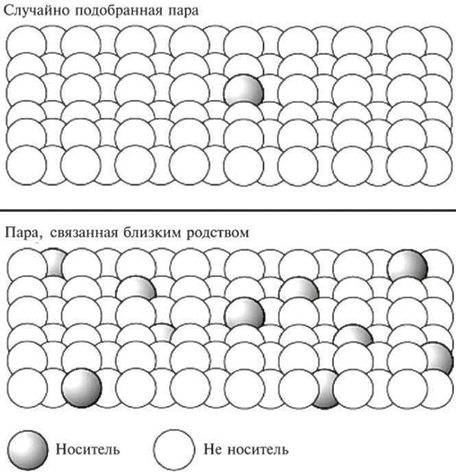 Мусорная ДНК. Путешествие в темную материю генома