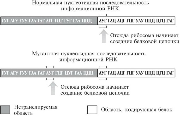 Мусорная ДНК. Путешествие в темную материю генома