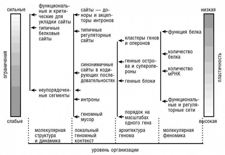 Логика случая. О природе и происхождении биологической эволюции