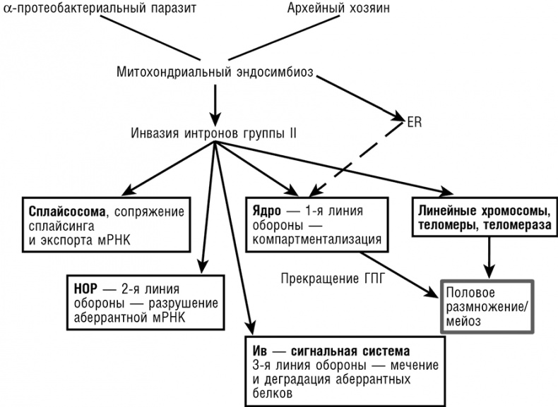 Логика случая. О природе и происхождении биологической эволюции