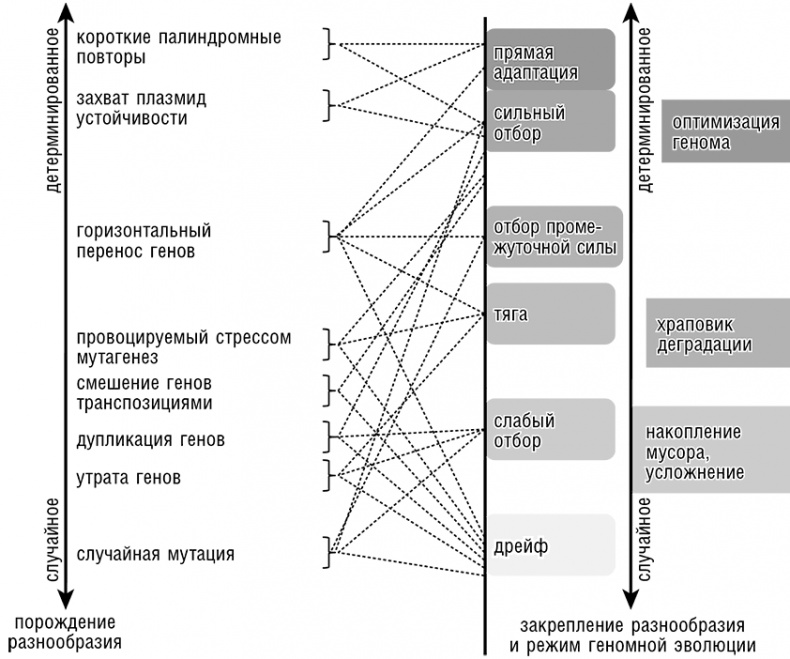 Логика случая. О природе и происхождении биологической эволюции