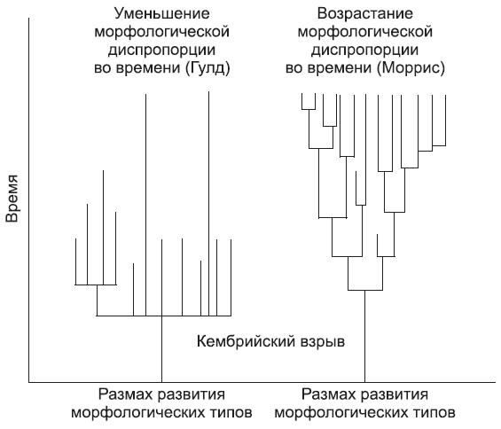 Новая история происхождения жизни на Земле