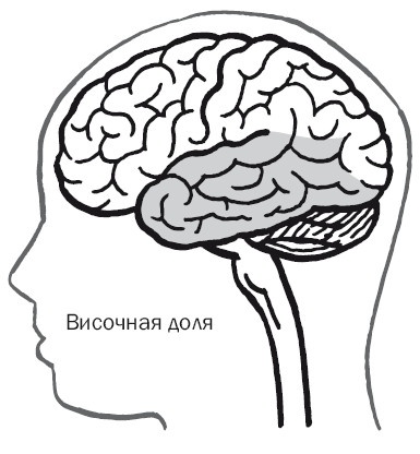 Дуэль нейрохирургов. Как открывали тайны мозга, и почему смерть одного короля смогла перевернуть науку