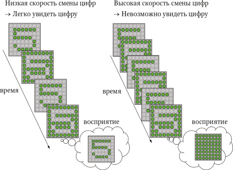 Мозг. Ваша личная история