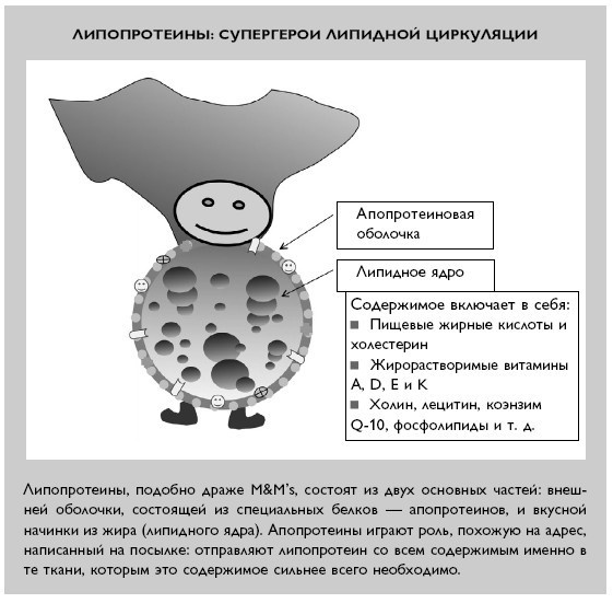 Умный ген. Какая еда нужна нашей ДНК