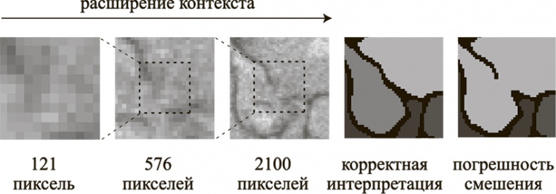 Коннектом. Как мозг делает нас тем, что мы есть