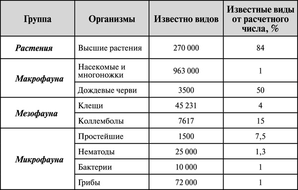 Как создать эко огород. Советы врача и садовода с 40-летним стажем!