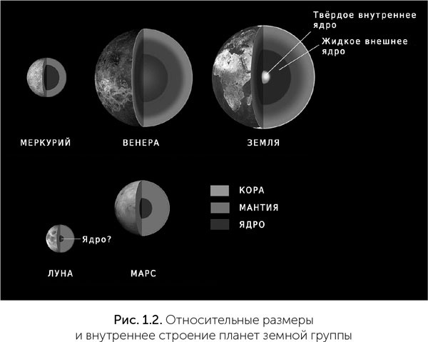 Происхождение жизни. От туманности до клетки